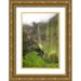 Head Danny 23x32 Gold Ornate Wood Framed with Double Matting Museum Art Print Titled - Crater Wall II