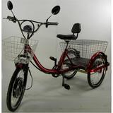 3 Three Wheel Electric Bicycle Bike Motorized Scooter Tricycle