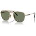 Ray-Ban Frank II Titanium Sunglasses Gold Frame Green Lens 51 RB8258-313852-51