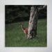 Loon Peak® Brown Deer On Green Grass Field During Daytime 137 - 1 Piece Square Graphic Art Print On Wrapped Canvas in Brown/Gray/Green | Wayfair