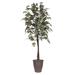 Primrue 72" Artificial Maple Tree in Pot Silk/Plastic in Brown | 72 H x 34 W x 34 D in | Wayfair A4778B474EB94B079E9BD3ECFD562061