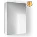 Latitude Run® Surface Mount Frameless 1 Door Medicine Cabinet w/ 3 Adjustable Shelves Stainless Steel/Aluminum in Gray | 30 H x 18 W in | Wayfair