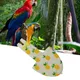 Couche-culotte pour perroquet nœud papillon mignon Floral fruits colorés perroquet petit et