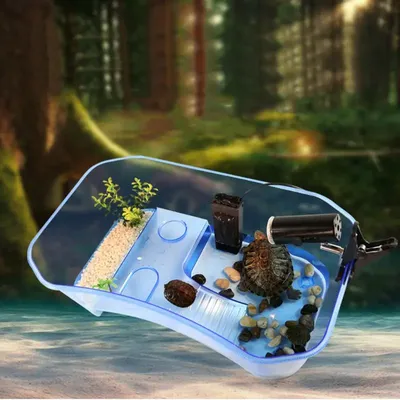 Boîte de vivarium de tortue de reptile avec la plate-forme de se prélasser alimentation précieuse