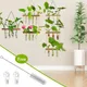 Jardinière murale à tubes à essai rétro Terrarium à plantes avec support en bois multicouche Vase