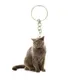 Porte-clés en acrylique chat britannique pour hommes et femmes breloques porte-bonheur mode