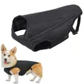 SFP Mesh Design Respirant Support pour Chien Protection des /05/2019 GlaGreat pour la Mobilité des