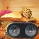 Thermomètre et hygromètre pour Reptile moniteur de température et d'humidité dans le Vivarium