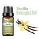 PHATOIL-Huile essentielle de vanille pour l'arôme humidificateur de massage spa exécutif bois de
