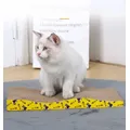 Grattoir à griffes en papier ondulé résistant à l'usure pour chat jouet pour animaux de compagnie