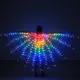 Ailes de Papillon Fluorescentes à LED pour Enfant Performance de brevdu Ventre Isis Costumes de