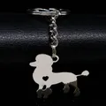 Porte-clés en acier inoxydable pour femme mignon et délicat chien caniche couleur argent bijoux