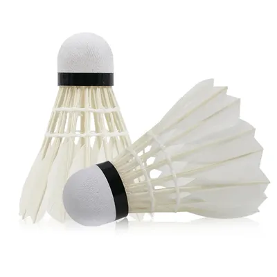 Balle d'entraînement coupe-vent pour la compétition de badminton plume d'oie noire et blanche