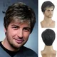 WHIMSICAL W-Perruque Synthétique Courte pour Homme Cheveux Naturels Ombré Respirant Degré de