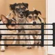 Porte magique rétractable pour animaux de compagnie barrière de sécurité pour chiens Portable