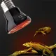 Farinda-Chauffage infrarouge en céramique pour animaux de compagnie tortue araignée reptiles