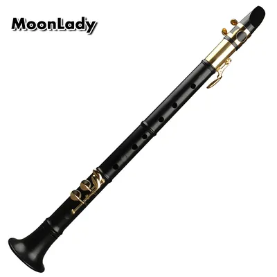 Petit Saxophone pour débutants pour adultes et enfants Mini Pocket Alto Reed Instrument de musique