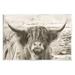 Stupell Industries Highland Cattle Cow Gazing Photography Photograph Unframed Art Print Wall Art Design by Nathan Larson