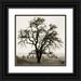 Blaustein Alan 20x20 Black Ornate Wood Framed with Double Matting Museum Art Print Titled - Country Oak Tree