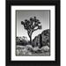 Collins Ann 15x18 Black Ornate Wood Framed with Double Matting Museum Art Print Titled - California-Joshua Tree National Park-Joshua tree lit by early morning sun