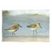 Stupell Industries Two Sandpipers Stepping Beach Shore Painting Unframed Art Print Wall Art Design by Kim Allen
