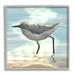 Stupell Industries Sandpiper Standing Coastal Ocean Tide Graphic Art Gray Framed Art Print Wall Art Design by Marcus Prime