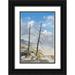 Jones Adam 13x18 Black Ornate Wood Framed with Double Matting Museum Art Print Titled - Black tree trunks and colorful terrace-Mammoth Hot Springs-Yellowstone National Park-Wyoming