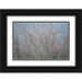 Mahan Kathy 24x17 Black Ornate Wood Framed with Double Matting Museum Art Print Titled - Winter Tree Limbs I