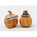 Cosmos Gifts Give Thanks Pumpkin Salt & Pepper Dolomite in Brown/Orange/Yellow | 2.75 H x 2.38 W in | Wayfair 21030