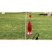 Arlmont & Co. Teardrop Hummingbird Feeder w/ Ant Moat Glass in Red | 19 H x 7 W x 7 D in | Wayfair 25325D4D47DD4A679934957198EC3CFD