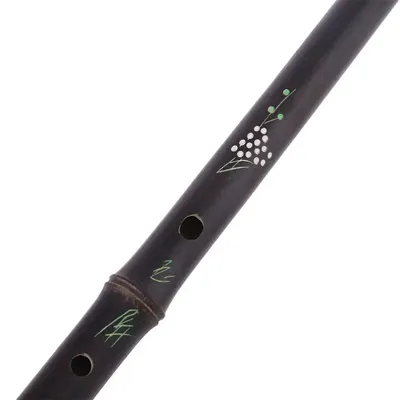 RXBB – Instrument de musique chinois violet flûte en bambou du Yunnan une section Dizi fait à la