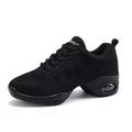 Womens Jazz Shoes Lace-up Sneakers Breathable Mesh Modern Dance Shoes Breathable Air Cushion Split-Sole Outdoor Dancing Shoes Platform Sneakers for Jazz Zumba Ballet Folk black 41