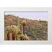 Paulson Don 24x17 White Modern Wood Framed Museum Art Print Titled - USA Arizona Tucson Desert scenic in Saguaro NP