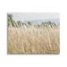 Stupell Industries Rural Wheat Field Spring Breeze Photograph Gallery Wrapped Canvas Print Wall Art Design by Elizabeth Urquhart