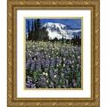 Terrill Steve 12x14 Gold Ornate Wood Framed with Double Matting Museum Art Print Titled - WA Paradise Park Field of lupine and bistort