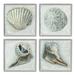 Stupell Industries Detailed Seashells Ocean Life Painting Gray Framed Art Print Wall Art Set of 4 Design by Erica Christopher