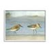 Stupell Industries Two Sandpipers Stepping Beach Shore Painting White Framed Art Print Wall Art Design by Kim Allen