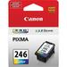 Genuine Canon PG-245 Black Ink Cartridge - 2 Pieces (8279B001) + Canon CL-246 Color Ink Cartridge (8281B001)