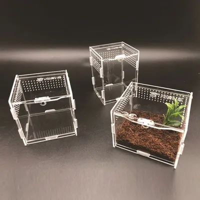 Boîte d'élevage de reptiles en acrylique transparent terrarium respirant araignée lézard