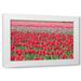 Dana Styber 14x11 White Modern Wood Framed Wall Art Titled - March of the Tulips I