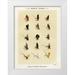 Marbury Mary Orvis 12x14 White Modern Wood Framed Museum Art Print Titled - Trout Fishing Flies VII from Favorite Flies and Their Histories