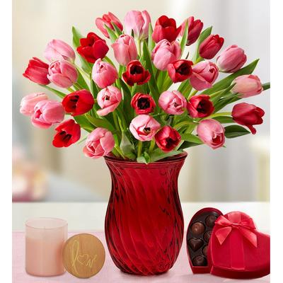 1-800-Flowers Seasonal Gift Delivery Sweetest Love Tulips 30 Stems, Bouquet Only | Happiness Delivered To Their Door