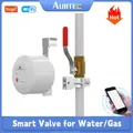 Tuya Smart WiFi Smart Valve Manipulator vanne de gaz et d'eau interrupteur de fuite d'eau