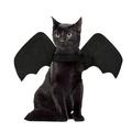 Big Holiday Savings! Pet Halloween Bat Costume Chest Back Creative Cat Dog Small Dog Costume Great Gifts for Less on Clearance