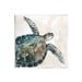 Stupell Industries Brown Tortoise Sea Life Wall Plaque Art By Carol Robinson in Brown/Green | 12 H x 12 W x 0.5 D in | Wayfair aq-995_wd_12x12