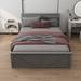 Gracie Oaks Storage Panel Bed Wood in Gray | 38.7 H x 63.8 W x 81.9 D in | Wayfair F2784FF8382E43558AD5982C9649F149