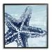 Stupell Industries Modern Sea Life Starfish Giclee Art By June Erica Vess Wood in Blue/Brown | 12 H x 12 W x 1.5 D in | Wayfair ar-008_fr_12x12