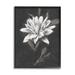 Stupell Industries Traditional White Dahlia Flower Framed Giclee Art By Nina Blue Canvas in Black/White | 30 H x 24 W x 1.5 D in | Wayfair