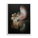 Stupell Industries Dark Sea Shells Still Life Giclee Art By Cecile Baird Canvas in Black/Pink/White | 20 H x 16 W x 1.5 D in | Wayfair