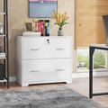 Latitude Run® 2-Drawer Lateral Filing Cabinet Wood in White | 28.7 H x 31.5 W x 15.7 D in | Wayfair 6D8116657BB2455B9AF35EDEDA9E032B